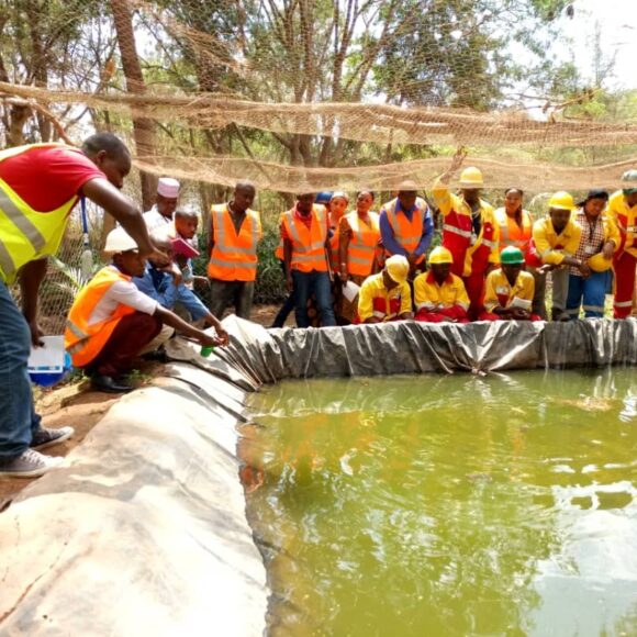 9200-punjab_fish_farming